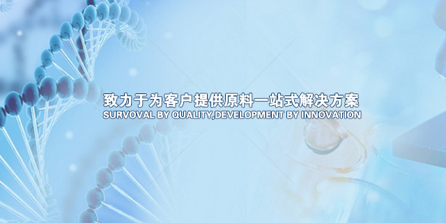 手機網(wǎng)站大圖